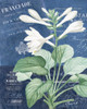 Postcard Vintage Floral 2 Poster Print by Allen Kimberly - Item # VARPDXKARC651B