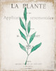 Botanical Pages 1 Poster Print by Allen Kimberly - Item # VARPDXKARC704A