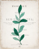 Botanical Pages 2 Poster Print by Allen Kimberly - Item # VARPDXKARC704B