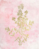 Botanical Pink 2 Poster Print by Allen Kimberly - Item # VARPDXKARC710B