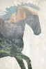 Running Mountains Poster Print by Allen Kimberly - Item # VARPDXKARC731A