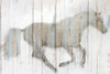 Whitewash Horse Poster Print by Kimberly Allen - Item # VARPDXKARC756B
