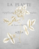 Gold Botanicals 3 Poster Print by Allen Kimberly - Item # VARPDXKARC776C