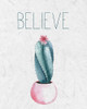 Cactus Pink 2 Poster Print by Kimberly Allen - Item # VARPDXKARC784B
