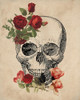 Skull Roses Poster Print by Allen Kimberly - Item # VARPDXKARC825B