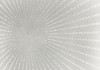Silver Burst Poster Print by Allen Kimberly - Item # VARPDXKARC845B
