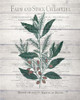 Botanical A v2 Poster Print by Allen Kimberly - Item # VARPDXKARC855A