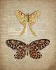 Newspaper Butterfly 1 Poster Print by Kimberly Allen - Item # VARPDXKARC857A