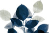 Midnight Leaves 1a Poster Print by Kimberly Allen - Item # VARPDXKARC915A2