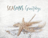 Seasons Greetings Poster Print by Allen Kimberly - Item # VARPDXKARC920A