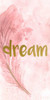 Dream Feathered  Poster Print by Kimberly Allen - Item # VARPDXKARN016B