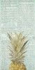 Newspaper Pineapple Poster Print by Allen Kimberly - Item # VARPDXKARN052A