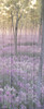 Sunset through the Trees 2 Poster Print by Allen Kimberly - Item # VARPDXKARN062B