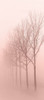 Pinkest Dawn 1 Poster Print by Allen Kimberly - Item # VARPDXKARN151A