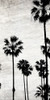 Dusky Beach 5 Poster Print by Allen Kimberly - Item # VARPDXKARN191A
