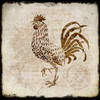 Vintage Rooster Square 2 Poster Print by Kimberly Allen - Item # VARPDXKASQ034B