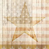 American Stars Poster Print by Kimberly Allen - Item # VARPDXKASQ036A American Stars Poster Print by Kimberly Allen - Item # VARPDXKASQ036A
