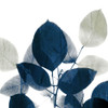 Midnight Leaves 1 Poster Print by Allen Kimberly - Item # VARPDXKASQ1001A
