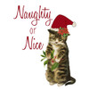 Cat Christmas 3 Poster Print by Allen Kimberly - Item # VARPDXKASQ1002C