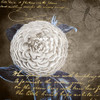White Bloom Navy 1 Poster Print by Allen Kimberly - Item # VARPDXKASQ1017A