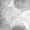 Paper Roses Grey 2 Poster Print by Allen Kimberly - Item # VARPDXKASQ1018B