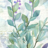 Watercolor Floral 6 Poster Print by Allen Kimberly - Item # VARPDXKASQ1117E
