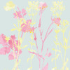 Sunshine Pink 2 Poster Print by Allen Kimberly - Item # VARPDXKASQ1221B