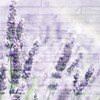 Lavender Fields 2 Poster Print by Allen Kimberly - Item # VARPDXKASQ1236B