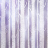 Violet Birches Poster Print by Allen Kimberly - Item # VARPDXKASQ1240A