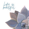 Life is Beautiful Poster Print by Allen Kimberly - Item # VARPDXKASQ1270A