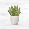 Spring Green 2 Poster Print by Allen Kimberly - Item # VARPDXKASQ1311B