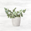 Spring Green 4 Poster Print by Allen Kimberly - Item # VARPDXKASQ1311D