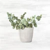 Spring Green 4 Poster Print by Allen Kimberly - Item # VARPDXKASQ1311D