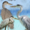 Herons Poster Print by Allen Kimberly - Item # VARPDXKASQ1384A