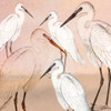 Cranes in Pink Poster Print by Allen Kimberly - Item # VARPDXKASQ1385A