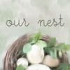 Our Nest 2 Poster Print by Allen Kimberly - Item # VARPDXKASQ1394B