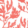 Seaweed 1 Poster Print by Allen Kimberly - Item # VARPDXKASQ1516A