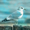 Coastal Life 5 Poster Print by Allen Kimberly - Item # VARPDXKASQ1521D