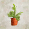 Potted Life 2 Poster Print by Kimberly Allen - Item # VARPDXKASQ153B