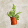 Potted Life 2 Poster Print by Kimberly Allen - Item # VARPDXKASQ153B