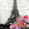 Paris Blooms 1 Poster Print by Allen Kimberly - Item # VARPDXKASQ1546A