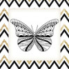 Zig Zag Butterfly 2 Poster Print by Kimberly Allen - Item # VARPDXKASQ155B