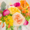 Burst of Color Poster Print by Allen Kimberly - Item # VARPDXKASQ1562A