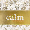 Calm Poster Print by Kimberly Allen - Item # VARPDXKASQ186F