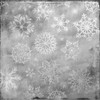 Snowflake Grey 2 Poster Print by Kimberly Allen - Item # VARPDXKASQ191B