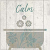 Calming Meditation Poster Print by Kimberly Allen - Item # VARPDXKASQ210C