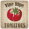Vine Ripe Tomatoes Poster Print by Kimberly Allen - Item # VARPDXKASQ223C