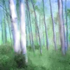 Aspen Grove Poster Print by Kimberly Allen - Item # VARPDXKASQ358A