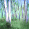 Aspen Grove Poster Print by Kimberly Allen - Item # VARPDXKASQ358A