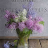 Lilacs Poster Print by Kimberly Allen - Item # VARPDXKASQ416A